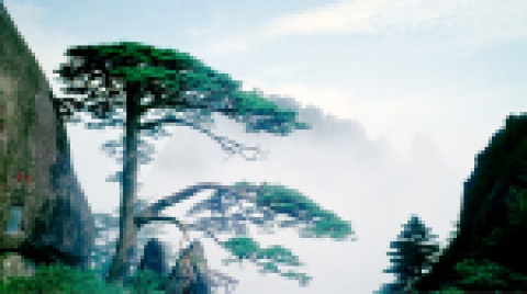 文旅开发-尊龙凯时